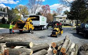 Best Storm Damage Tree Cleanup  in Mililani Mauka, HI